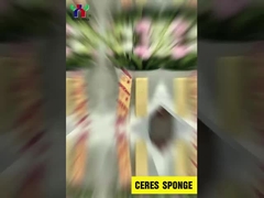 Σφουγγάρι Ceres viskovita