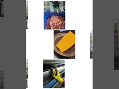 Σφουγγάρι της Σήρας